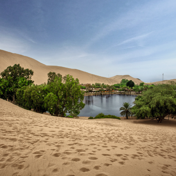Islas Ballestas y Huacachina